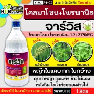 จาร์วิส 1ลิตร (โคลมาโซน+โพรพานิล) ใช้หลังวัชพืชงอก คุมวัชพืชในนาหว่านน้ำตม ทั้งใบแคบ ใบกว้างและกก