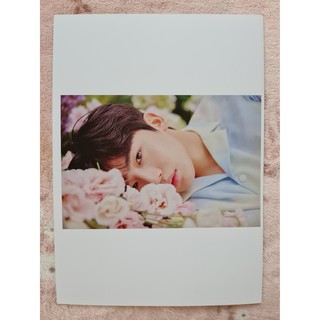 [พร้อมส่ง] หน้าโฟโต้บุ๊ค Photobook Cut คิมโยฮัน Kim Yohan One Day After Another : 1st Photo Book X1 Bae173