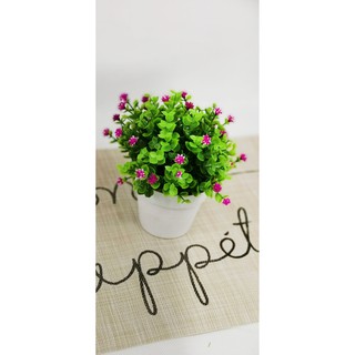 ดอกไม้ประดิษฐ์ พร้อมกระถาง 8859216713646**สินค้าพร้อมส่ง