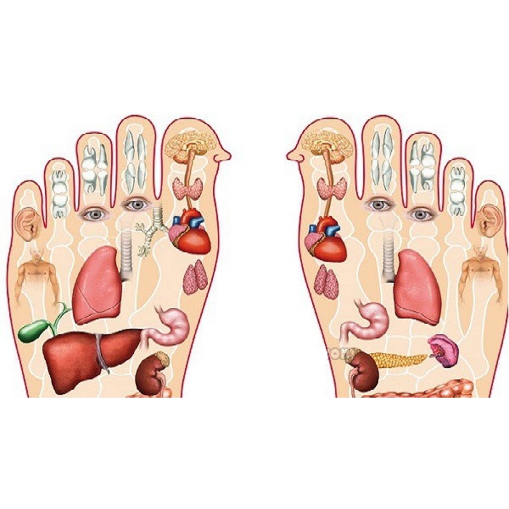 แพ็คคู่ราคาสุดคุ้ม!!!ที่นวดรูปฝ่าเท้า+++ที่นวดเท้าแบบนวดรูปโค้ง ไม้นวดเท้าเพื่อสุขภาพ คลายปวดเท้า - รูปที่ 7