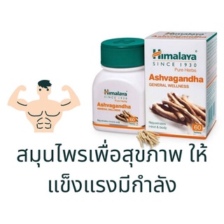 Ashvagandha สมุนไพร โสมอินเดีย บำรุงสุขภาพองค์รวม ฟื้นฟูร่างกาย