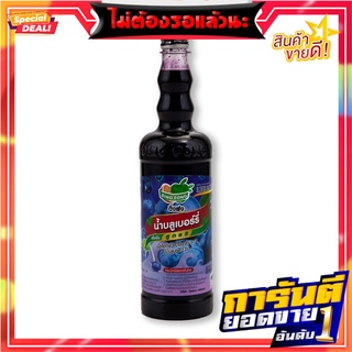 ติ่งฟง น้ำสควอช บลูเบอร์รี่ 760 มล. x 12 ขวด Ding Fong Blueberry Squash 760 ml x 12 Bottles