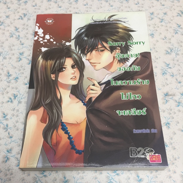 นิยายเเจ่มใส Sorry sorry อุ๊ยตาย! ขออภัยในความร้ายไม่ไหวจะเคลียร์