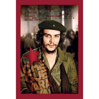 โปสเตอร์ ภาพติดผนัง เช กูวาร่า che guevara