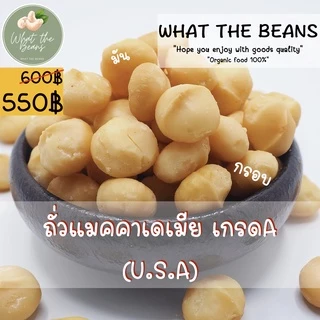 เนื้อแมคคาเดเมีย แกะเปลือกพร้อมทาน 500 กรัม อบ สด ใหม่ พร้อมทาน