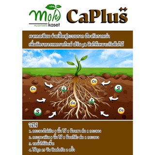 ผงแคลเซียมฟื้นฟูราก CaPLUS++ ขนาด 100 กรัม