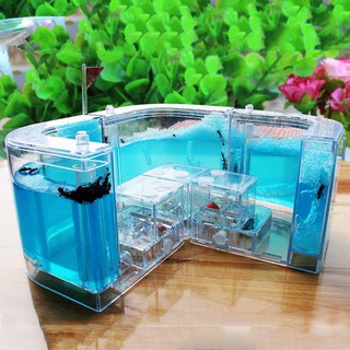 กล่องฟาร์มเลี้ยงมด 3D สำหรับการศึกษา การทดลอง