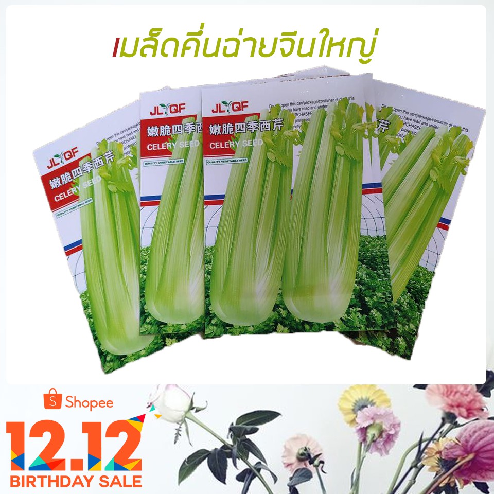 เมล็ด  ขึ้นฉ่ายฝรั่งหรือเซเลอรี่ (Celery)