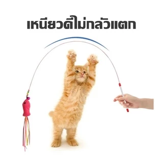 🐱ไม้ล่อแมวแบบขนนก ของเล่นแมว ไม้ตกแมวแบบสปริง แบบลวดสลิง ของเล่นแมว