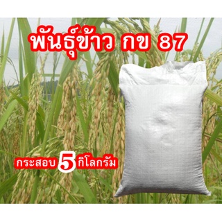 เมล็ดพันธุ์ข้าวกข87ชุด5กิโลกรัม ข้าวพื้นอ่อนให้ผลผลิตสูง