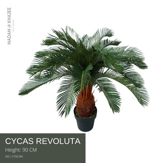 Cycas Revoluta - Height 90 cm ต้นปรง ความสูง 90ซม.ต้นไม้ปลอมเกรดพรีเมี่ยมเพื่อการตกแต่ง ต้นไม้ประดิษฐ์ตกแต่งบ้าน คอนโด