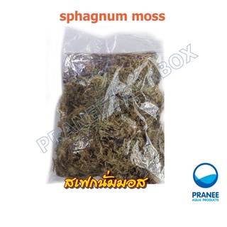 สเฟกนั่มมอส sphagnum moss วัสดุปลูก