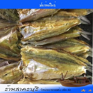 ปลาแห้งทะเล ปลาช่อนทะเลใหญ่ สวย น้ำหนักสุทธิ 500กรัม