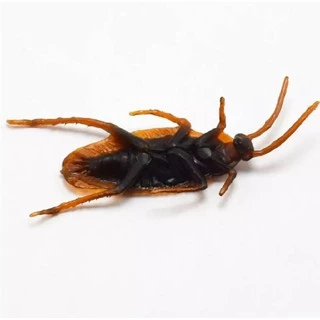 แมลงสาบปลอม ของเล่น เหมือนจริงที่สุด แกล้งคน เล่นกับแมว โมเดลสัตว์ Cockroach