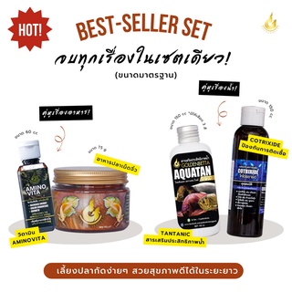 Set รวมผลิตภัณฑ์เลี้ยงปลากัด ครบจบเรื่องน้ำ-อาหารในเซตเดียว! พร้อมเลี้ยงได้ทันที