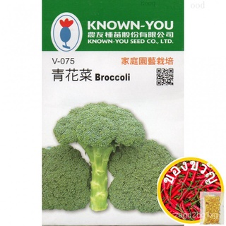 Broccoli Vegetable Seeds by Known-Youคื่นฉ่าย/บ้านและสวน/seeds/ผักกาดหอม/ดอกทานตะวัน/เสื้อ/ผู้ชาย/แม่และเด็ก/แอปเปิ้ล/สร