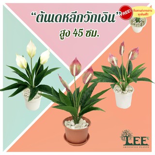 ((ต้นไม้มงคล!)) ต้นเดหลีกวักเงิน เสมือนจริง สูง45 ซม. #ต้นไม้ปลอมตกแต่งบ้าน Leeartplants (๑อต)