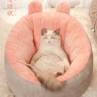 รังของแมว comfortable cattery