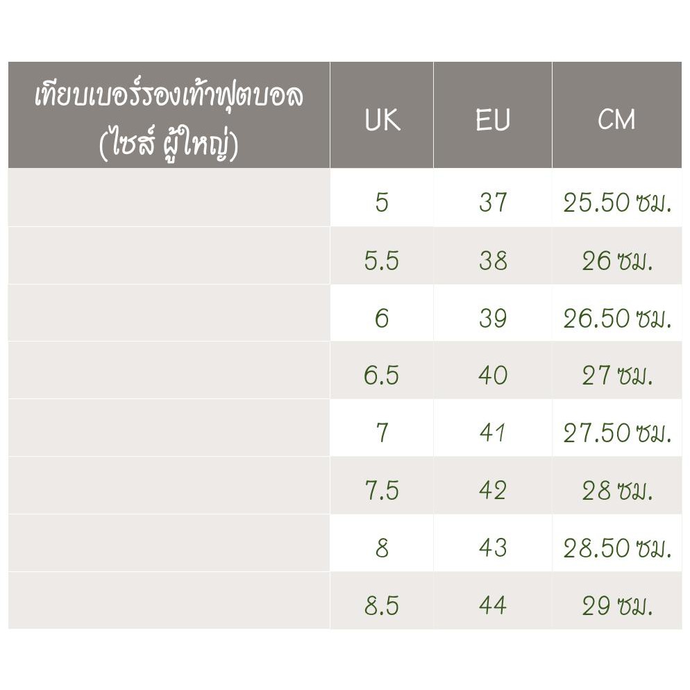 รูปภาพ 8