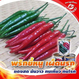 พริกขี้หนูเฮลฮอท เมล็ดพันธุ์พริก ขนาด 20 กรัม