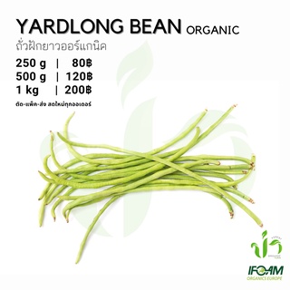 ถั่วฝักยาวออร์แกนิค Organic Yardlong Bean มาตรฐานออร์แกนิค IFOAM ผักสลัด ผักสด เก็บ-แพ็ค-ส่ง เก็บใหม่ทุกออเดอร์