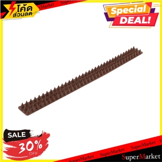 พิเศษที่สุด✅ หนามพลาสติกกันนก 10 ชิ้น BIRD SPIKES 10EA อุปกรณ์กำจัดแมลงและสัตว์รบกวน