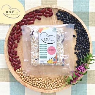 เทมเป้ถั่ว 3 สี(เหลือง ดำ แดง) (Triple bean Tempeh) ✨ เทมเป้พร้อมทาน โปรตีนสูง ขนาด 150g. เจ อาหารเจ วีแกน มังสวิรัติ