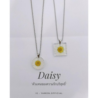 YAMON สร้อยคอดอกเดซี่ Daisy collection สร้อยคอสแตนเลส ประดับจี้ดอกเดซี่ ตัวจี้ทำจาก ดอกไม้จริง