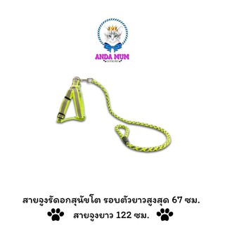 🐾 andamum 🐾  สายจูงสุนัข สุนัขโต สัตว์เลี้ยง เชือก สายรัดอก รัดตัว สายจูงยาว 122  cm รอบตัวยาว สูงสุด 67 cm  น้ำหนักเบา