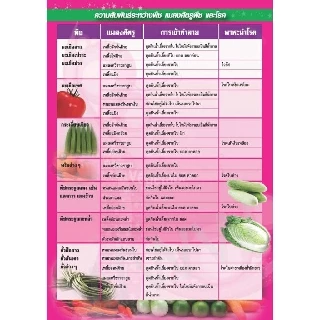 [1kg] สตาร์เกิลจี (Starkle G) สตาเกิลจี สตาร์เกิล จี สตาเกิล จี สารกำจัดแมลงชนิดดูดซึมเข้าทางระบบราก 1กิโลกรัม