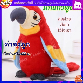 นกแก้วพูดได้ ตุ๊กตานกแก้วพูดได้