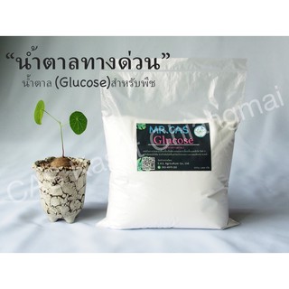 น้ำตาลกลูโคส (Glucose) น้ำตาลทางด่วนสำหรับพืช 1กิโลกรัม