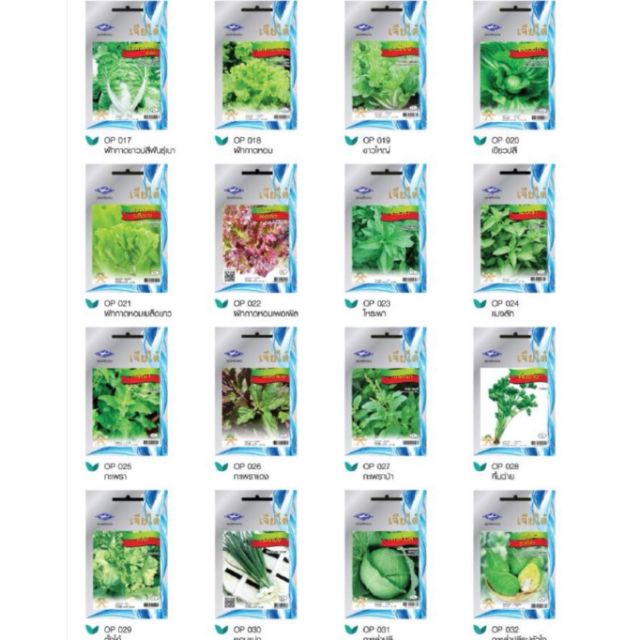 #3 เมล็ดผักซอง เจียไต๋ ตราเครื่องบิน (ซื้อ 10 ฟรี 1 ซอง คละได้)​