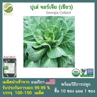 เมล็ดปูเล่ จอร์เจีย ( Georgia Collard) 100-150 เมล็ด