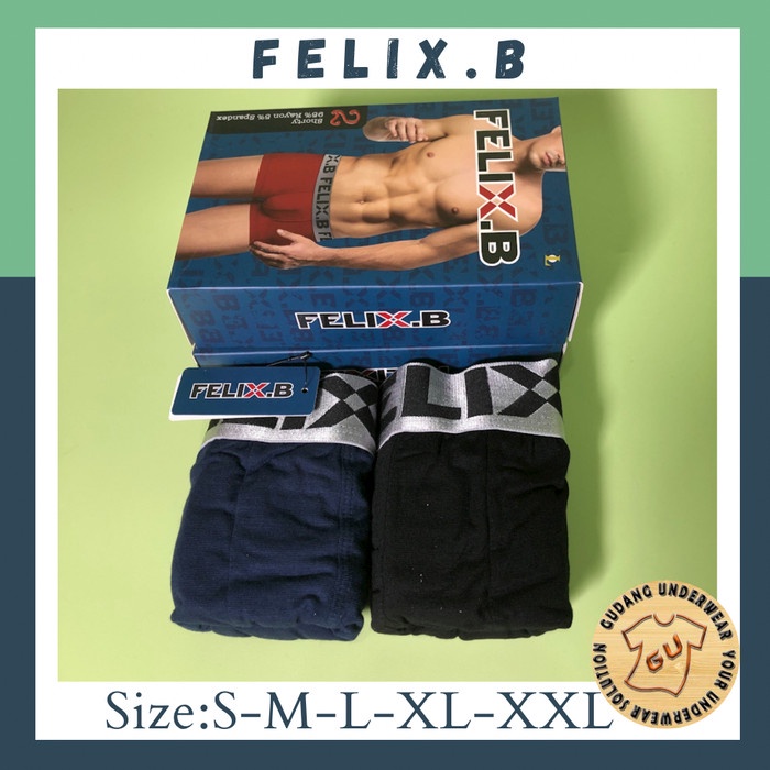 BOXER FIX BUHLER FB 2017-2