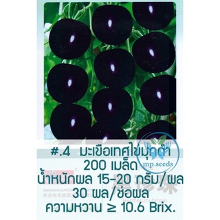 เมล็ด มะเขือเทศเชอรี่สีดำ  มะเขือเทศไข่มุกดำ Black Pearl Tomato จำนวน 200 เมล็ด