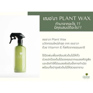 [ ส่งฟรี 🔥 ] เฌอบา อาหารเสริมต้นไม้ เคลือบผิวใบ Wax ด้วยวิตามิน E สเปรย์บำรุงใบ สเปรย์บำรุงต้นไม้ อาหารพืช 450 ML