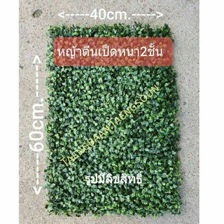 🚀ส่งเร็วมาก แม๊!!!!🚀หญ้าตีนเป็ด หนา2ชั้น คุณภาพดี ขนาด 40×60cm หญ้าแผ่น ติดผนัง สวนแนวตั้ง แต่งบ้าน แต่งสวน แต่งร้าน