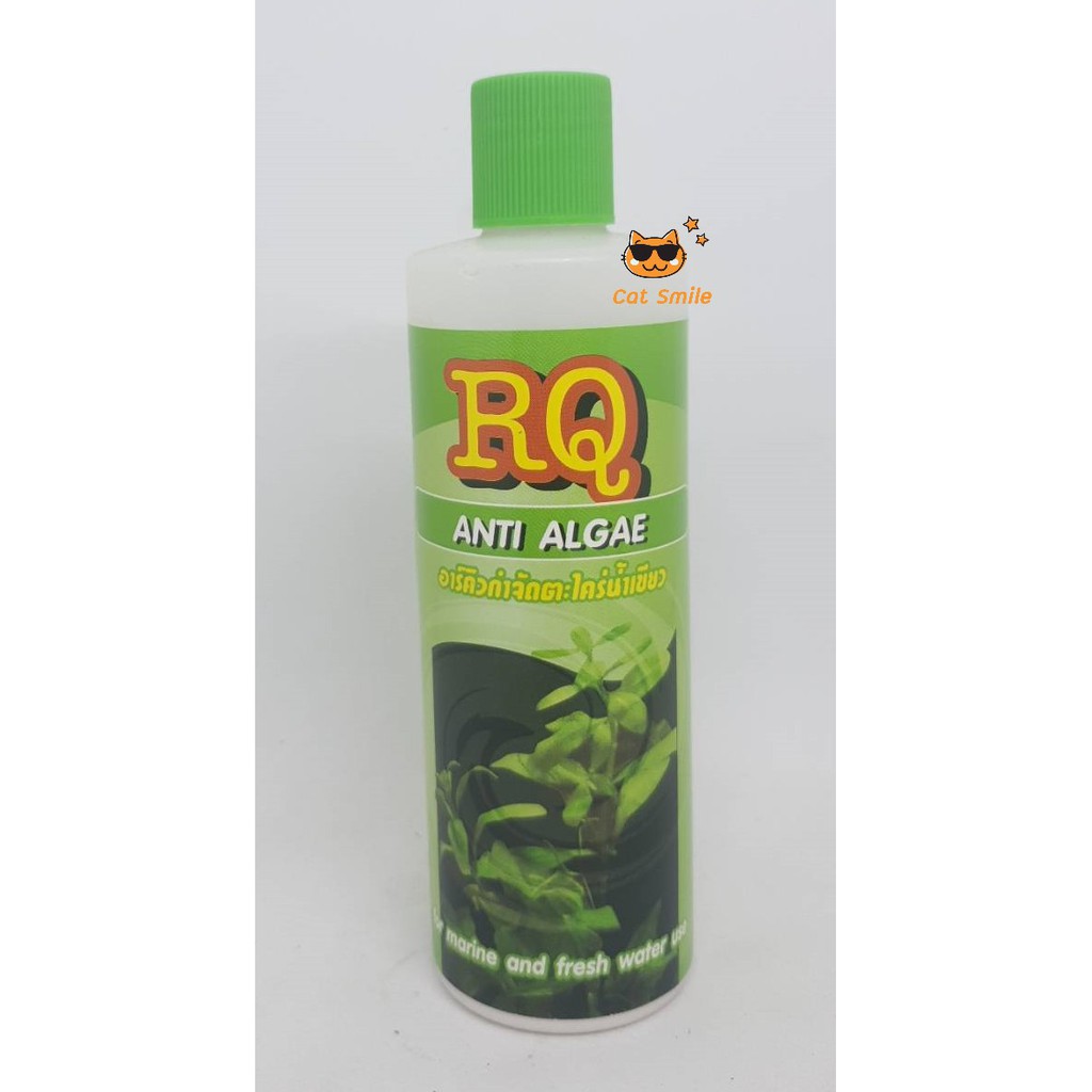 ใหญ่กว่า ขนาดไหม่ 250 มล.RQ Anti Algae อาร์คิว กำจัดตะไคร่น้ำเขียว น้ำยาลดตะไคร่ น้ำเขียว ฆ่าตะไคร่ 