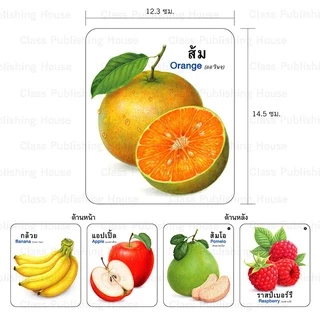 ห้องเรียน Flash Card บัตรภาพ บัตรคำศัพท์ ผลไม้ บรรจุบัตรภาพ 32 ใบ คำศัพท์ ภาษา ไทย - อังกฤษ