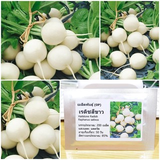 เมล็ดพันธุ์ แรดิชสีขาว Hailstone Radish Seed บรรจุ 200 เมล็ด คุณภาพดี ราคาถูก ของแท้ 100%