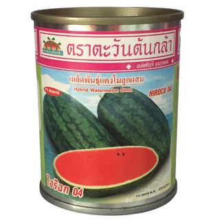 แตงโม ไฮร๊อก04 40g ตะวันต้นกล้า