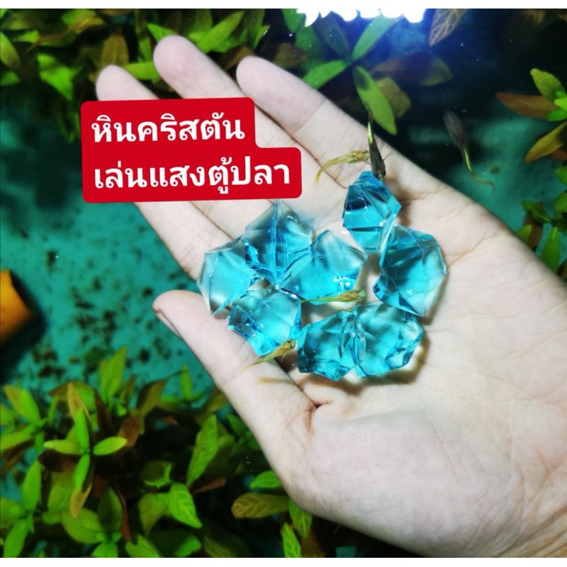 หินแต่งตู้ปลา🎋ไว้กรองตู้ปลาดับกลิ่น​ ดูดกลิ่น