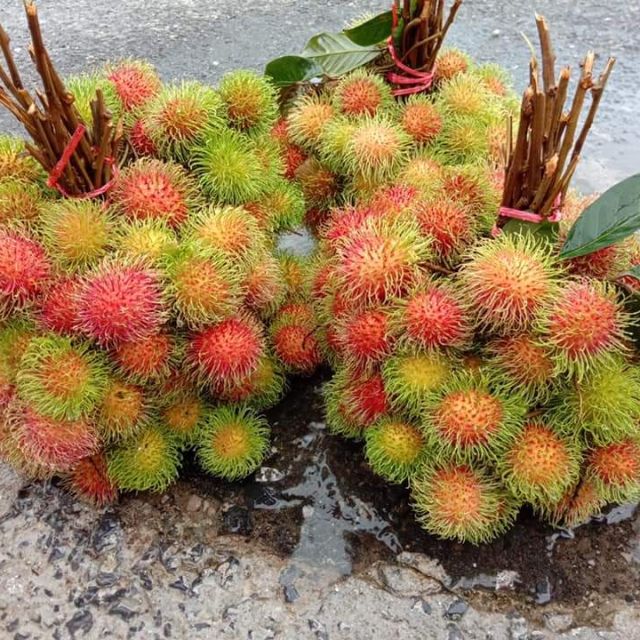 เงาะโรงเรียนนาสารแท้100%ขนาด3kg ส่งฟรี ชาวสวนขายเอง