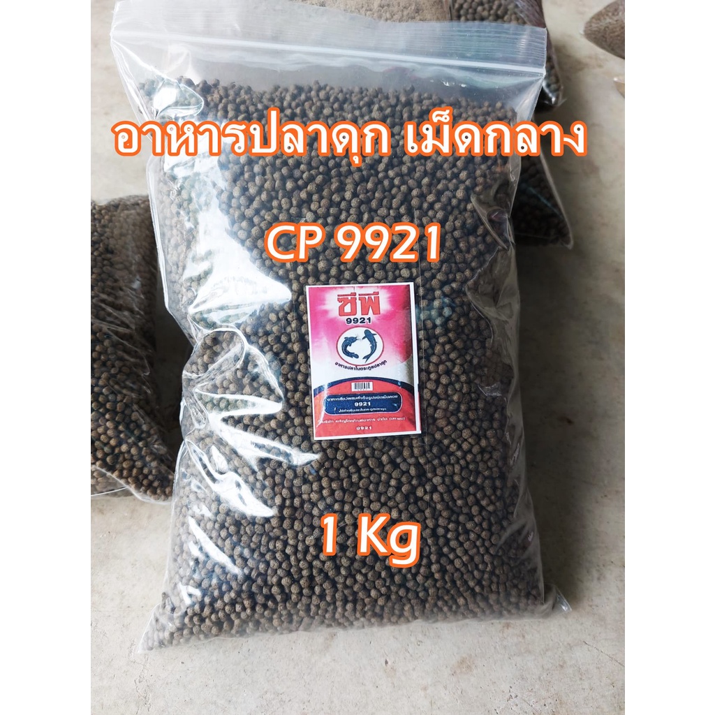 อาหารปลาดุก ซีพี 9921 แบบเม็ด และบดละเอียด อาหารปลาดุก ปลาสวาย เหยื่อตกปลา สปิ๋ว ชิงหลิว (สั่งรวมกันไม่เกิน 20กิโลค่ะ) - รูปที่ 3