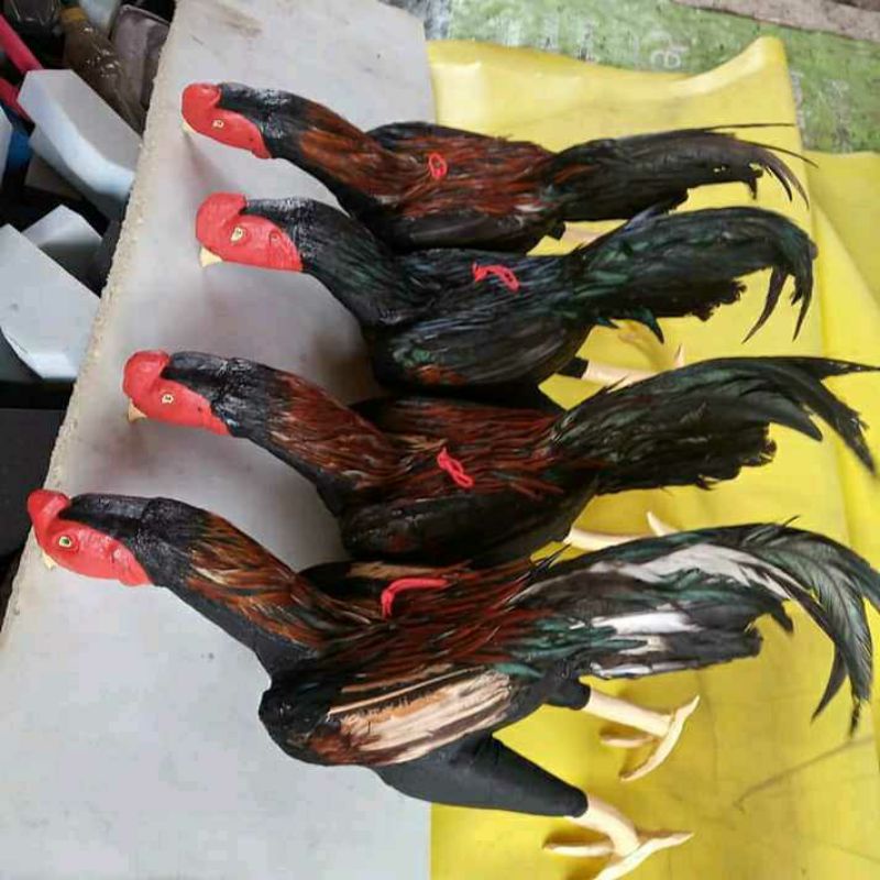 ตุ๊กตาไก่กรุงเทพ / ไก่ปลอม / อุปกรณ์ไก่ชน