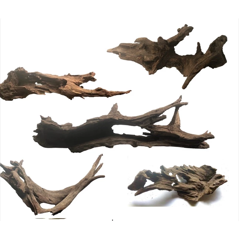 ไม้แต่งตู้ปลา driftwood 3 ชิ้นไม้ธรรมชาติ มีฟอร์ม สวย จัดสวนขนาดเล็ก