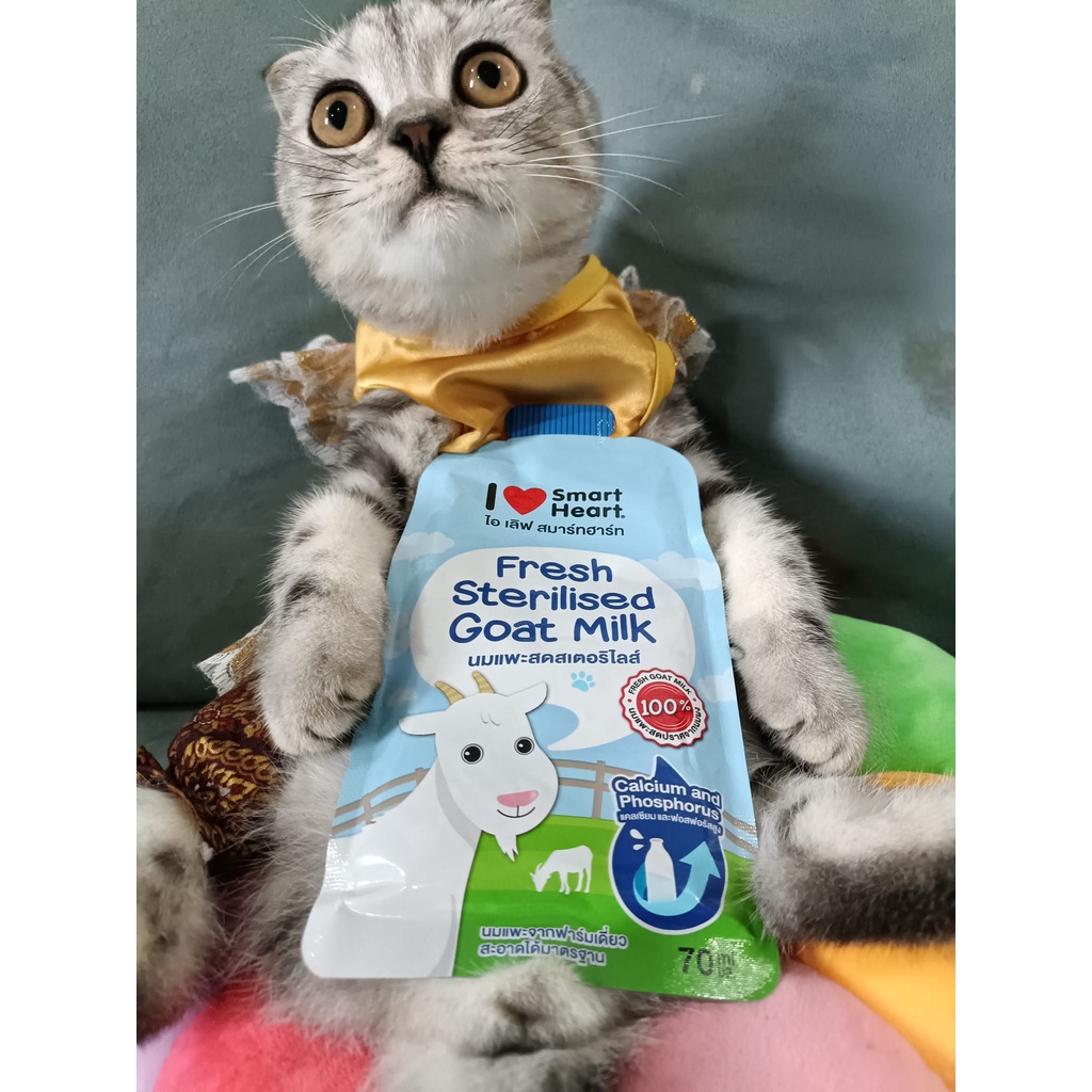 [12ซอง] Smartheart นมแพะลูกแมว 70ml. แบบซอง นมแพะลูกหมา (ไอ เลิฟ สมาร์ทฮาร์ท  สเตอริไลส์ Goat Milk นมแพะ - รูปที่ 2