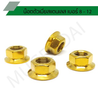 น๊อตตัวเมียสแตนเลส น็อตตัวเมียเลส เบอร์ 8, เบอร์ 10, เบอร์ 12