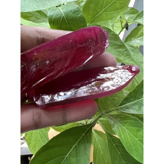 พลอยก้อน รูบี้ ทับทิม สีแดง พลอยก้อน เนื้อแข็ง ROUGH CORUNDUM RUBY เจียก่อนได้ทุกชนิด หนักรวม 80 กรัม